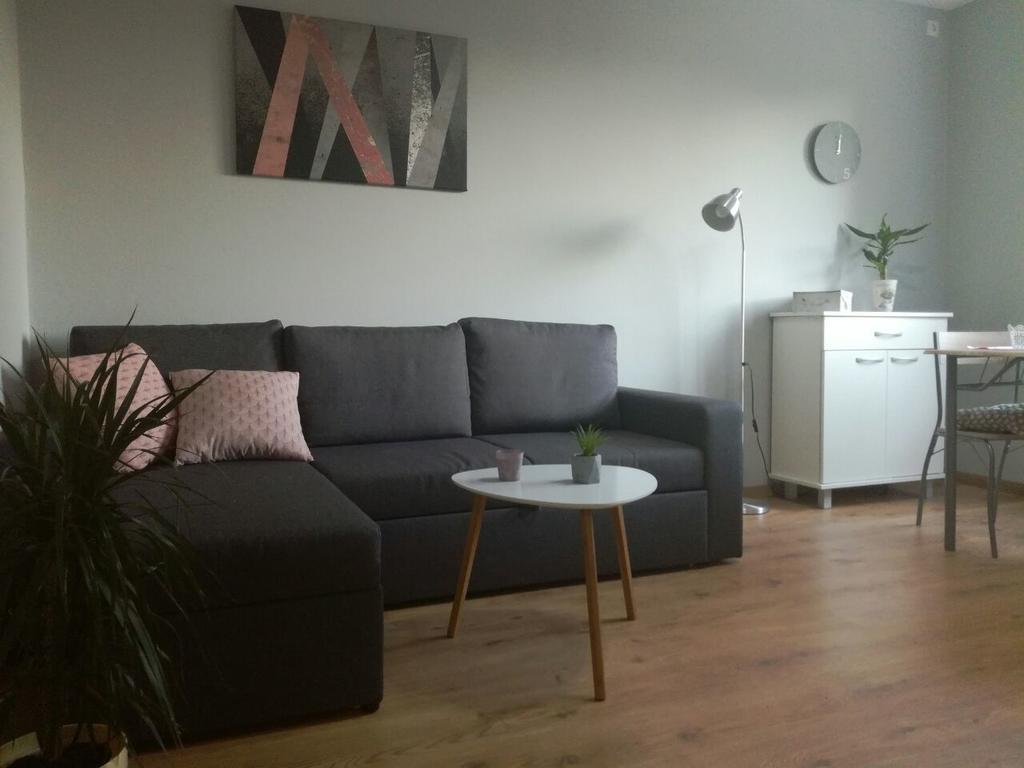 סרמסקה מיטרוביקה Apartment Marija מראה חיצוני תמונה