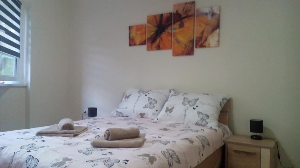 סרמסקה מיטרוביקה Apartment Marija מראה חיצוני תמונה