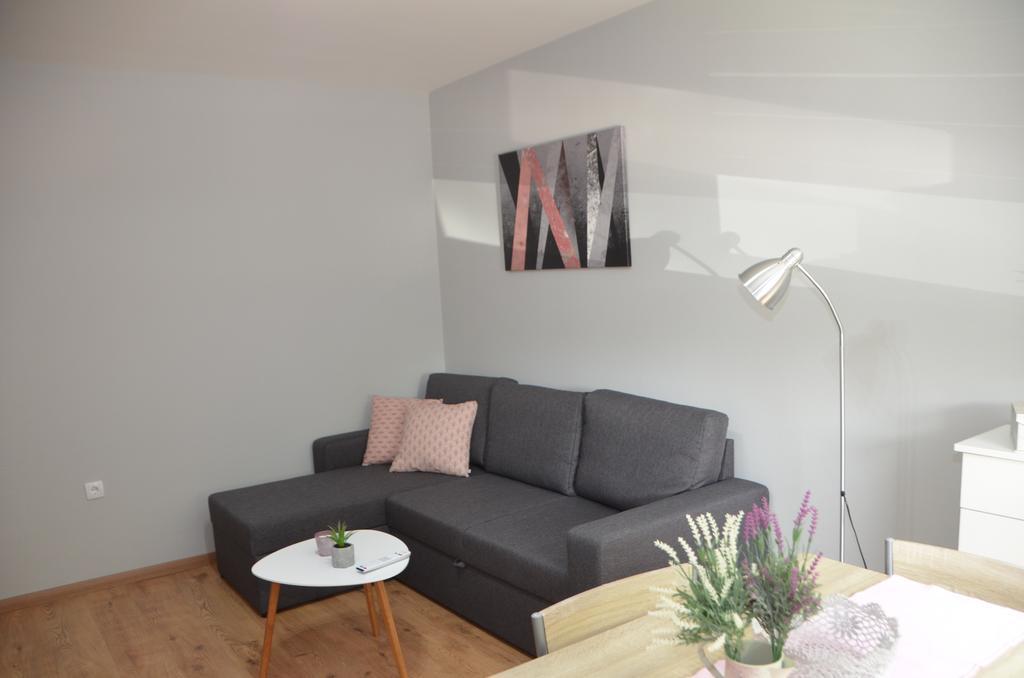 סרמסקה מיטרוביקה Apartment Marija מראה חיצוני תמונה
