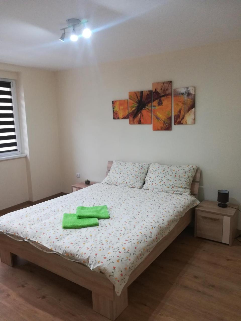 סרמסקה מיטרוביקה Apartment Marija מראה חיצוני תמונה