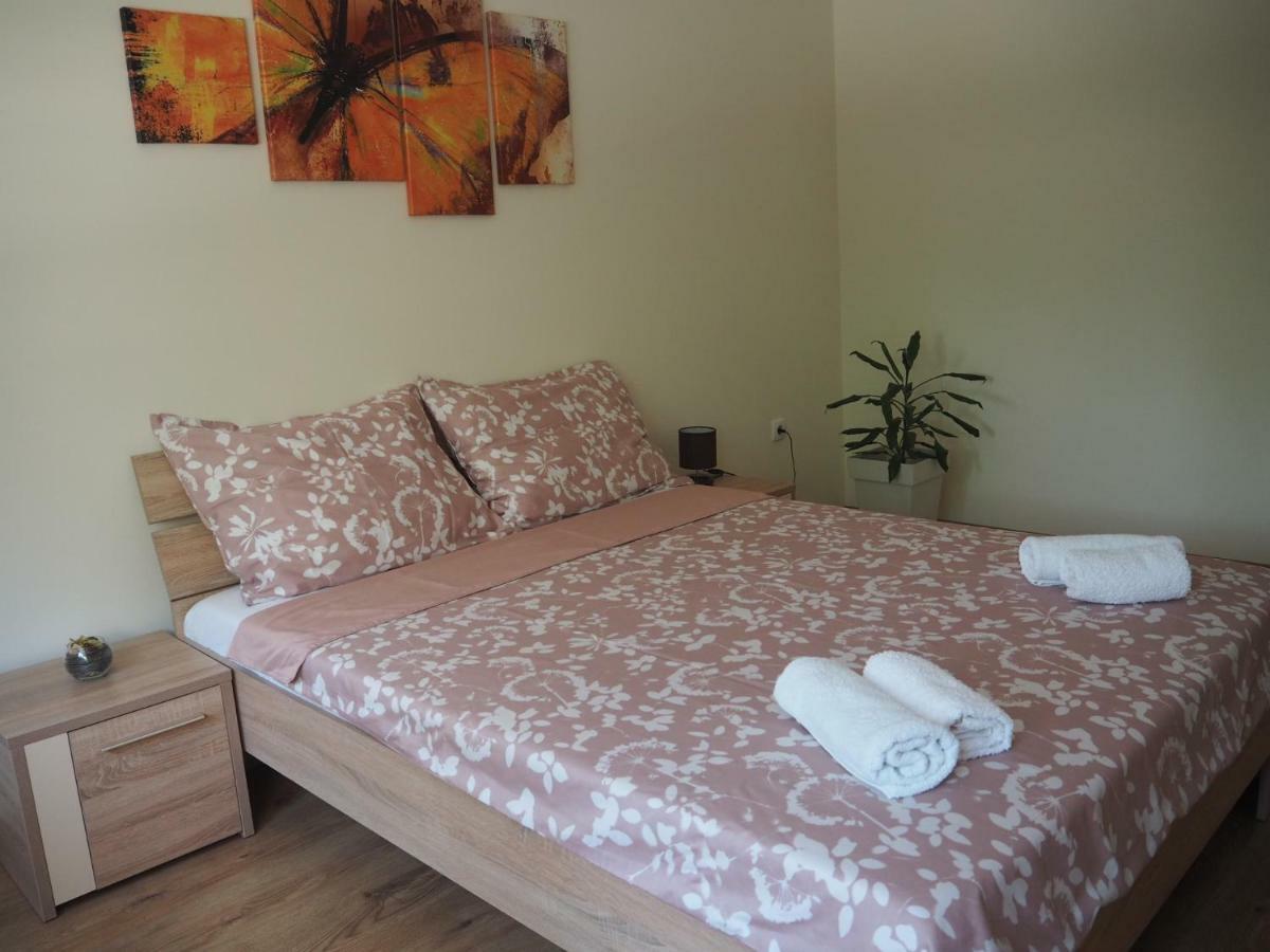 סרמסקה מיטרוביקה Apartment Marija מראה חיצוני תמונה